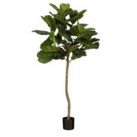 Ficus Lyrata Kunstplant – H165 x Ø95 – Groen