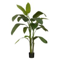 Heliconia Kunstplant – H175 x Ø140 cm – Groen